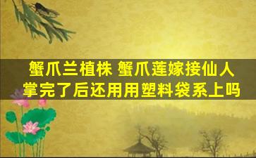 蟹爪兰植株 蟹爪莲嫁接仙人掌完了后还用用塑料袋系上吗